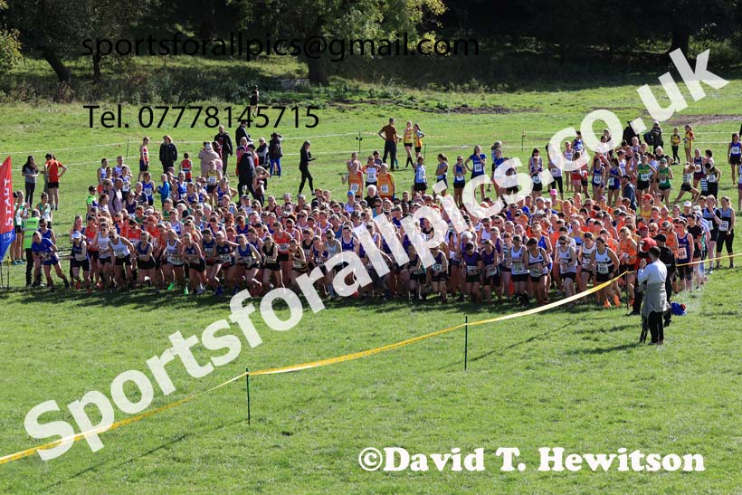 Senior and under-20s women 2024 Start Fitness NEHL, Thornley Hall Farm, Peterlee, Saturday, September 28th.   Photo: David T. Hewitson/Sports for All Pics